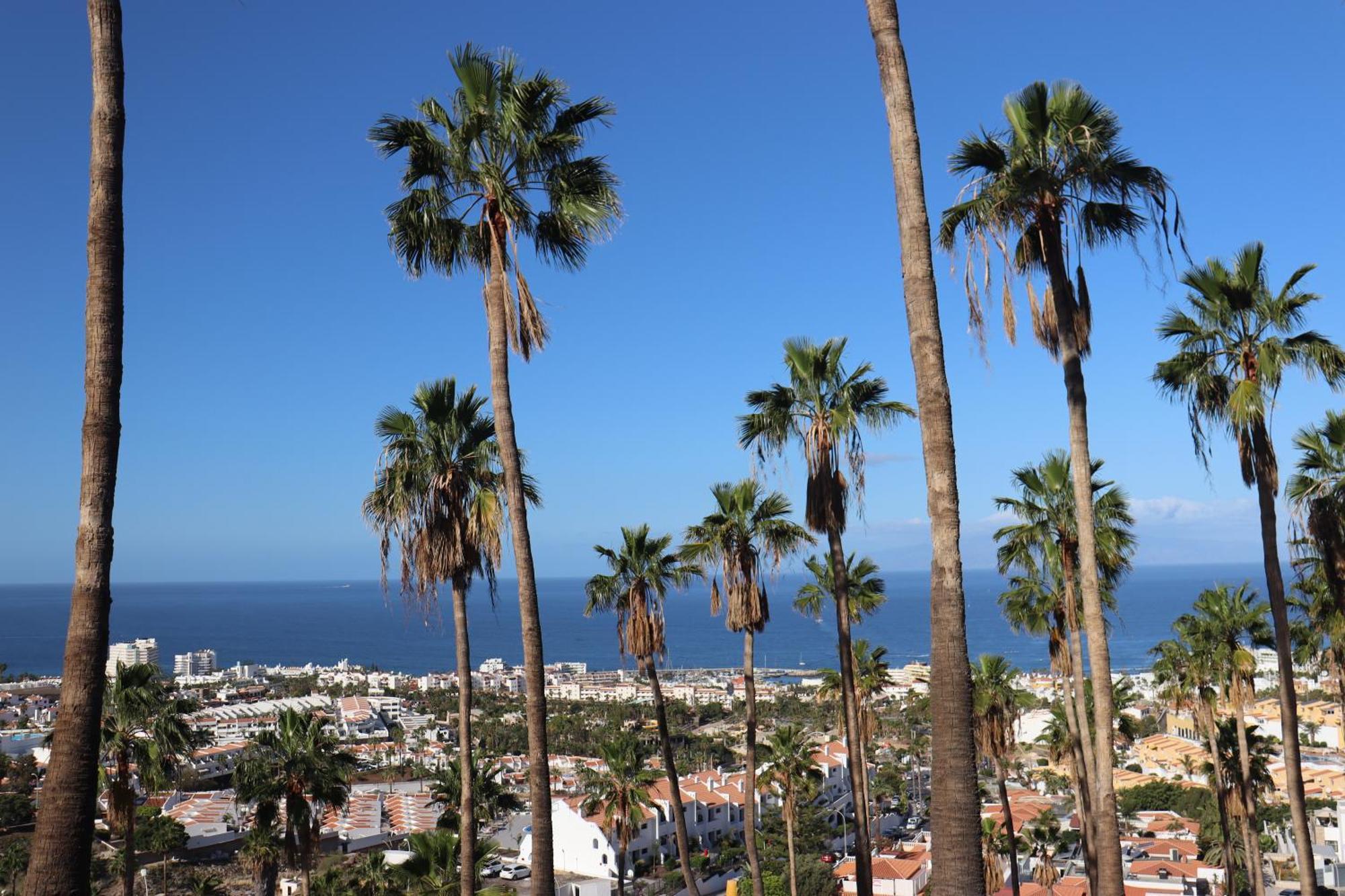 Azure Sky Villa - Panoramic Ocean View, Luxury, San Eugenio 阿德耶 外观 照片